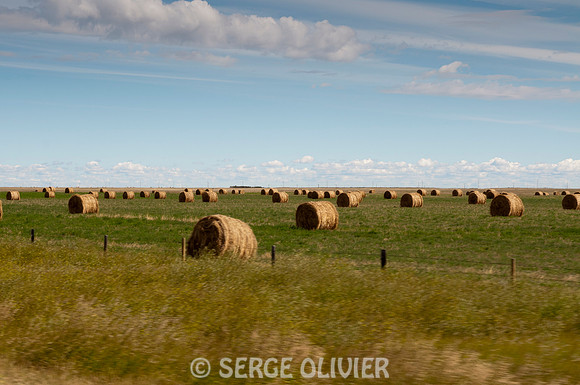 Alberta