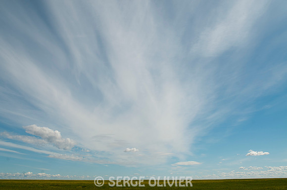 Alberta