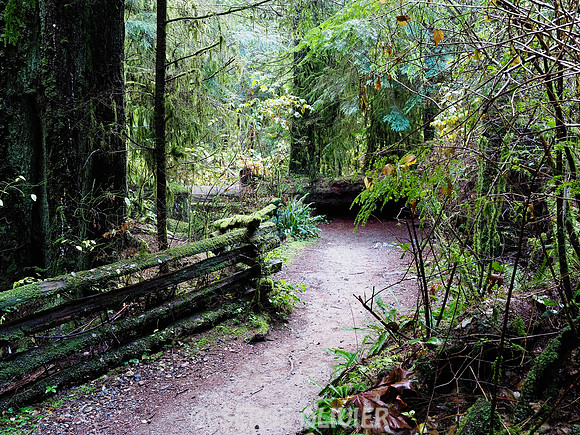 British-Columbia